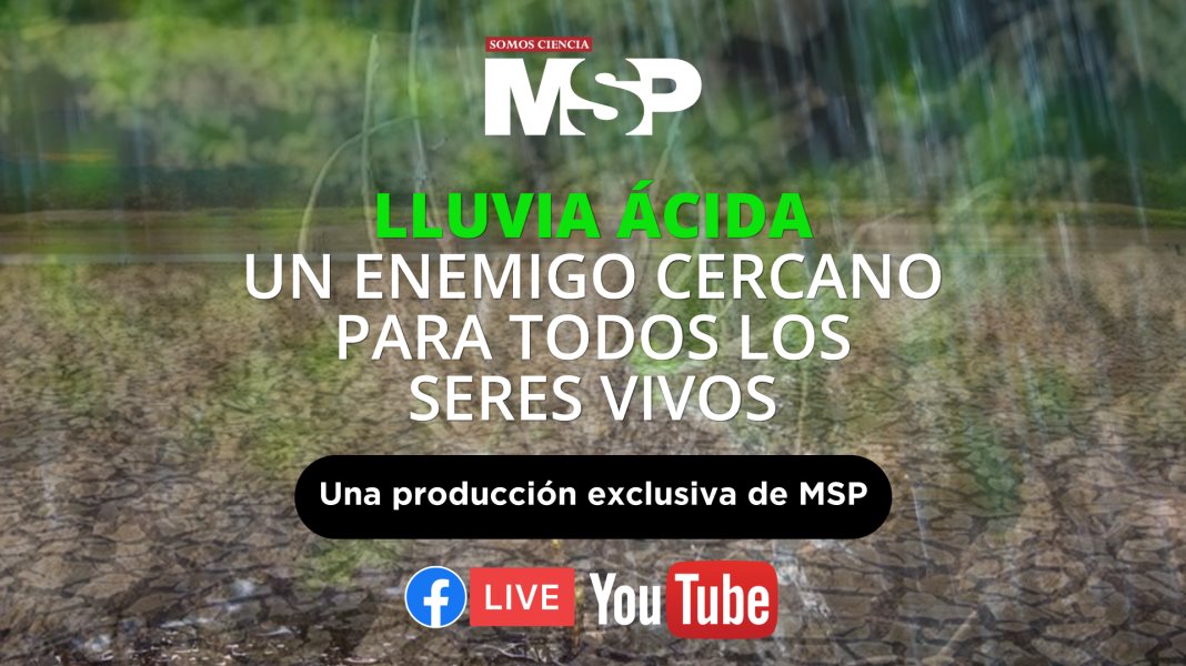 Lluvia ácida: un enemigo cercano para todos los seres vivos - #ExclusivoMSP