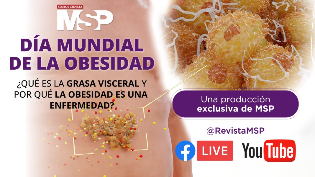 ¿Qué es la grasa visceral y por qué la obesidad es una enfermedad? - #ExclusivoMSP