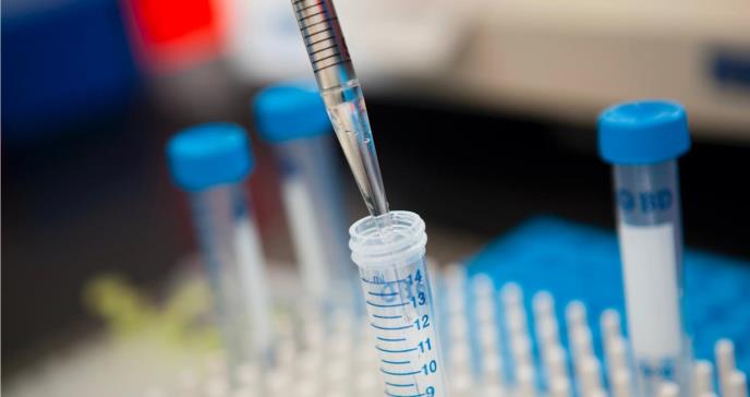 Pfizer apuesta por fármacos inmunoconjugados de Seagen en la lucha contra el cáncer
