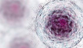 Por primera vez, mujer logra remisión de VIH y Leucemia por trasplante de células madre