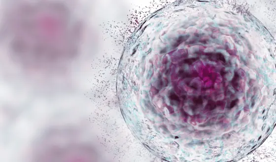 Por primera vez, mujer logra remisión de VIH y Leucemia por trasplante de células madre