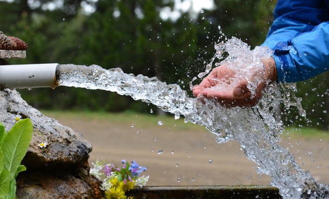Agua contaminada con arsénico modificaría la estructura del corazón