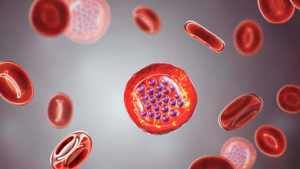 Filtración para-valvular ocasionaría la destrucción de los glóbulos rojos Filtración para-valvular ocasionaría la destrucción de los glóbulos rojos