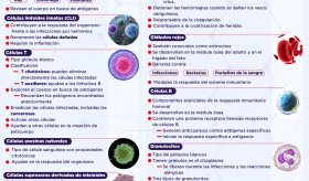 Células del sistema inmunitario y sus funciones - Infografía