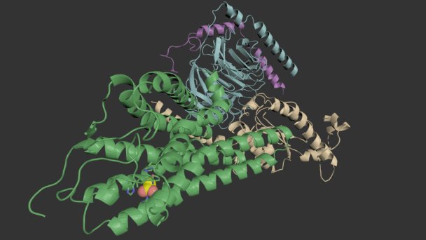 Descifrar el olfato: científicos crean primera imagen 3D de cómo una molécula activa un receptor de olor Descifrar el olfato: científicos crean primera imagen 3D de cómo una molécula activa un receptor de olor