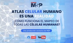 Atlas Celular Humano: ¿Cómo funciona el mapeo de todas las células humanas?