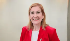 La mayoría de infecciones por herpes simple tipo 1, que causa herpes labial, se adquieren en infancia