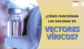 ¿Cómo funcionan las cápsulas de vectores víricos? | #CápsulaEducativa