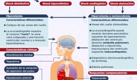 Causas, clasificación y características clínicas del shock - Infografía