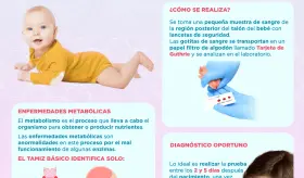 Tamiz metabólico - Infografía