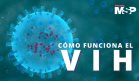 ¿Cómo funciona el #VIH en el cuerpo? - #ExclusivoMSP