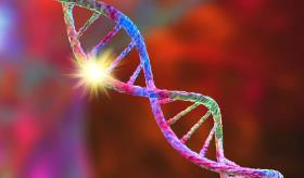 Mutación genética abre avances en el desarrollo de fármacos en el tratamiento de dolor y cicatrización