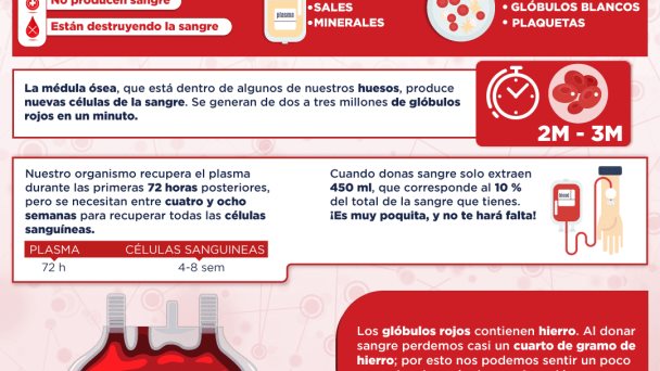 ¿Qué pasa en nuestro cuerpo cuando donamos sangre? | Infografía