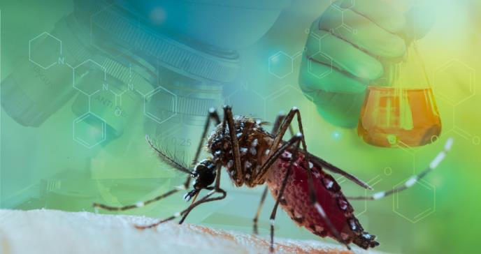 Estados Unidos: Alerta por detección de nuevos casos de malaria después de 20 años