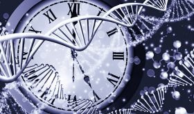 ¿Cómo la comunicación entre relojes circadianos transforma el metabolismo de la glucosa?