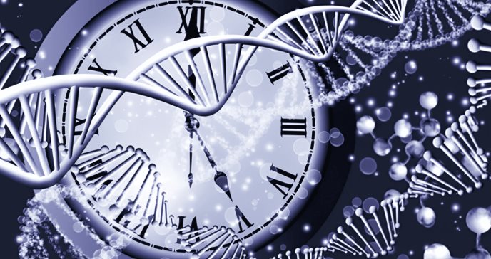 ¿Cómo la comunicación entre relojes circadianos transforma el metabolismo de la glucosa?