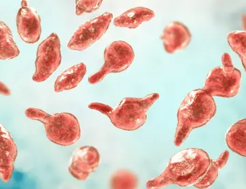 Así es el micoplasma genital, la silenciosa Enfermedad de Transmisión Sexual