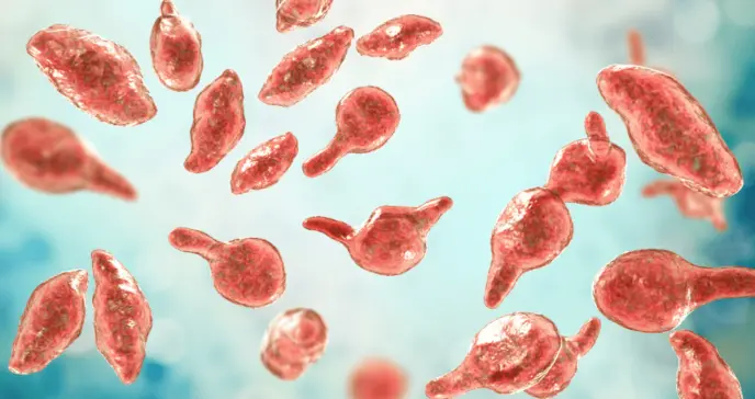 Así es el micoplasma genital, la silenciosa Enfermedad de Transmisión Sexual