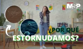 ¿Por qué estornudamos? Así funciona el cuerpo - #ExclusivoMSP