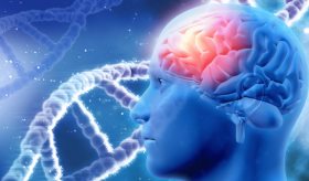 Mutaciones somáticas en el útero vinculadas a la esquizofrenia, revela estudio