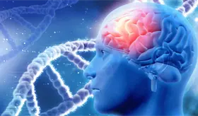 Mutaciones som&aacute;ticas en el &uacute;tero vinculadas a la esquizofrenia, revela estudio