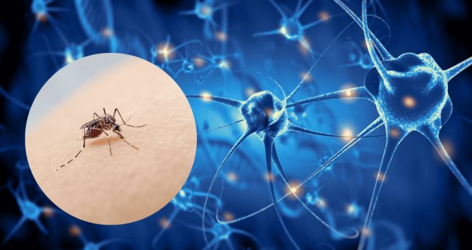 Dengue y síndrome de Guillain-Barré: ¿Qué relación tienen?