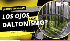 ¿Cómo funciona el daltonismo? - #ExclusivoMSP