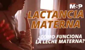 Lactancia materna: ¿Cómo funciona la leche materna?