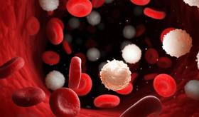 Las infecciones recurrentes son un indicador de inflamación crónica, asegura experto
