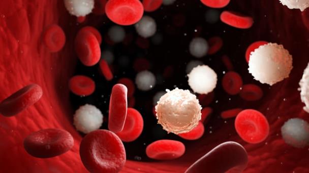 Las infecciones recurrentes son un indicador de inflamación crónica, asegura experto Las infecciones recurrentes son un indicador de inflamación crónica, asegura experto