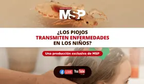¿Los piojos transmiten enfermedades en los niños? | #EspecialMSP