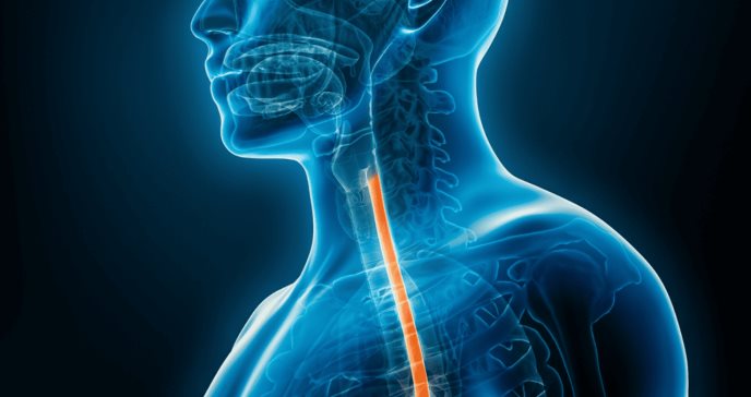 Estudio identifica prometedor tratamiento para la esofagitis eosinofílica