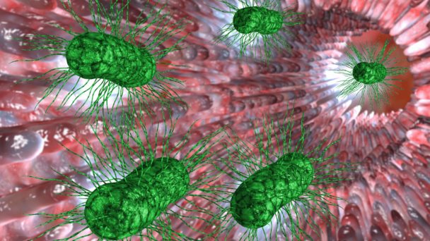 SIBO: ¿Cómo el sobrecrecimiento bacteriano en el intestino delgado puede afectar su salud?