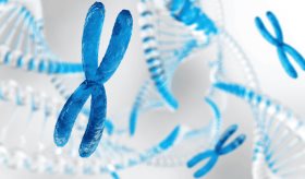 Síndrome de Turner: ¿De qué se trata la enfermedad genética en mujeres que se asocia con muerte fetal?