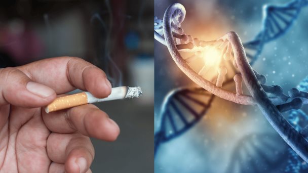 Fumar en la adolescencia puede dañar los genes de sus futuros hijos Fumar en la adolescencia puede dañar los genes de sus futuros hijos