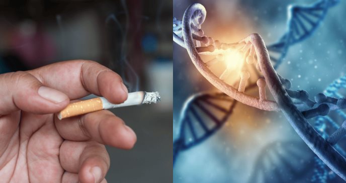 Fumar en la adolescencia puede dañar los genes de sus futuros hijos