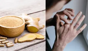 Descubren potencial beneficio del jengibre para el control de la inflamación en enfermedades autoinmunes