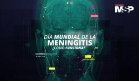 Día Mundial de la Meningitis: ¿Cómo funciona?