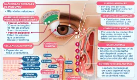 Aparato lagrimal | Infograf&iacute;a