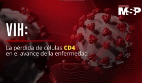 VIH: La pérdida de células CD4 en el avance de la enfermedad