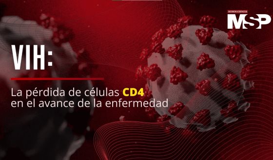 VIH: La pérdida de células CD4 en el avance de la enfermedad