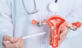 Vulvodinia, deseo sexual hipoactivo y los 6 tipos de disfunción sexual más comunes en hombres y mujeres