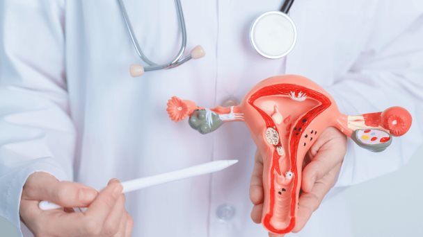 Vulvodinia, deseo sexual hipoactivo y los 6 tipos de disfunción sexual más comunes en hombres y mujeres Vulvodinia, deseo sexual hipoactivo y los 6 tipos de disfunción sexual más comunes en hombres y mujeres