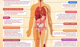 Los efectos de la cafeína en el cuerpo | Infografía