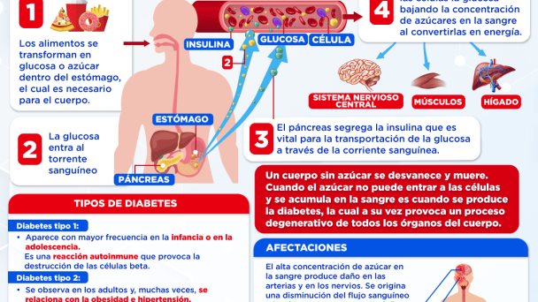 Día mundial de la diabetes | Infografía Día mundial de la diabetes | Infografía