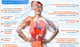 Efectos de la risa en el cuerpo | Infografía