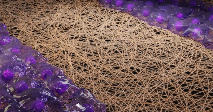 Implante quirúrgico que reduce infección bacteriana y acelera curación ósea a través de terapia genética