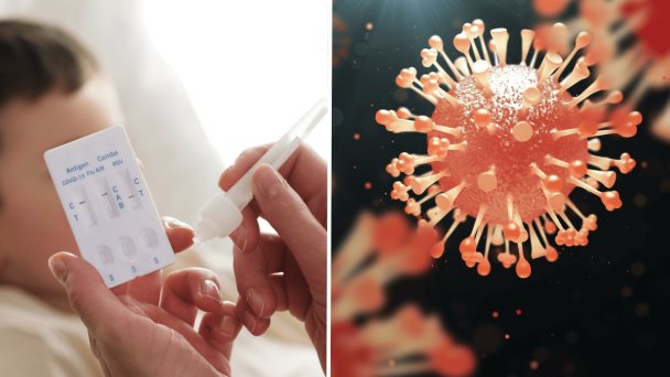 Influenza: aumentan casos en Estados Unidos y Puerto Rico pero COVID-19 domina hospitalizaciones Influenza: aumentan casos en Estados Unidos y Puerto Rico pero COVID-19 domina hospitalizaciones