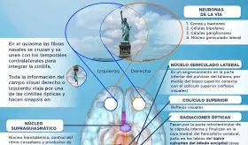 V&iacute;a &oacute;ptica | Infograf&iacute;a