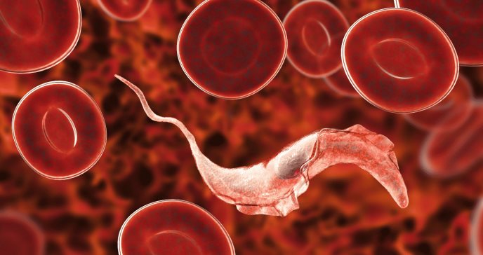 Enfermedad de Chagas: la patología inflamatoria que podría derivar en agrandamiento del esófago y colon
